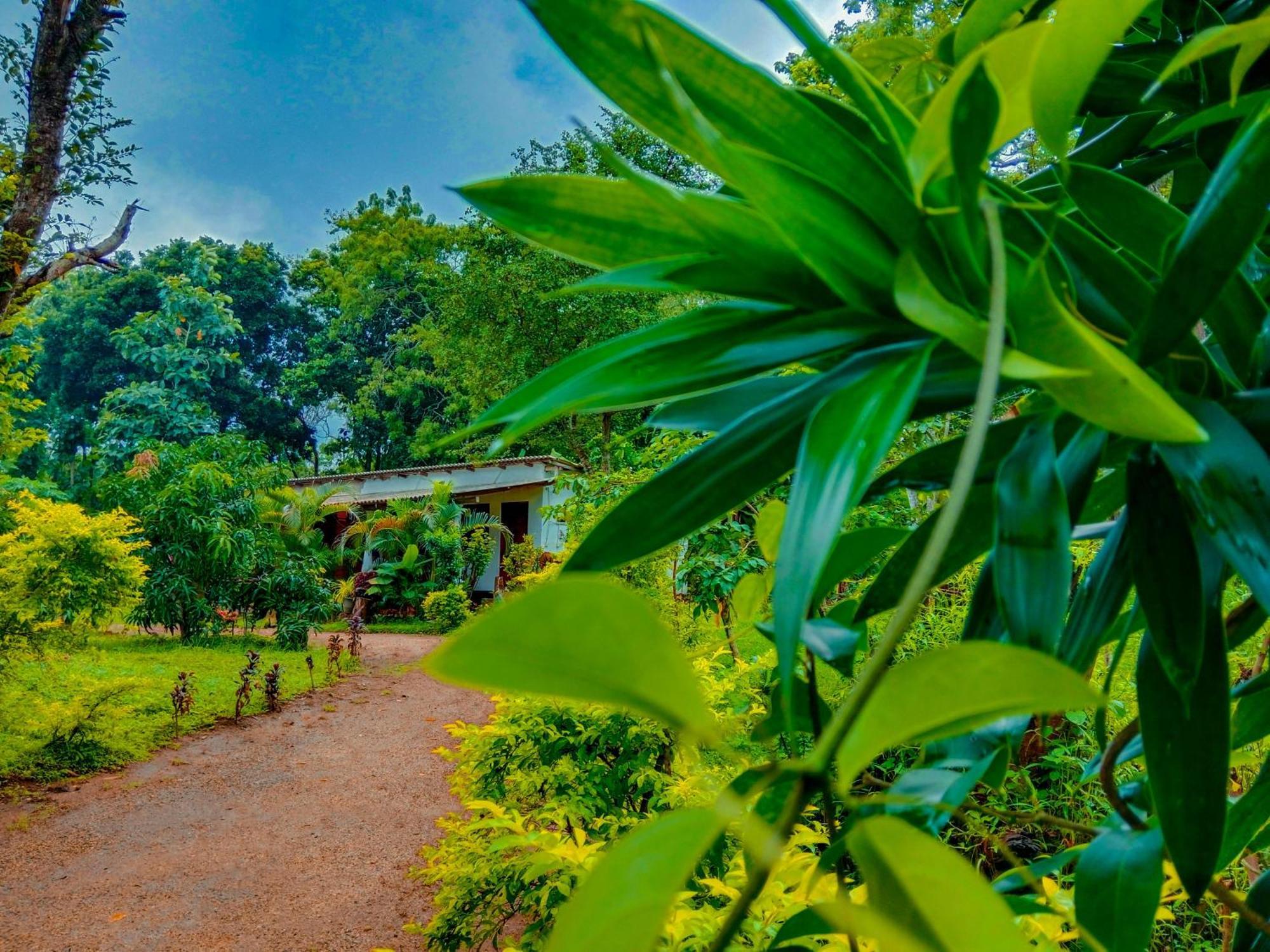 Chanaka Holiday Inn Sigiriya Exterior photo